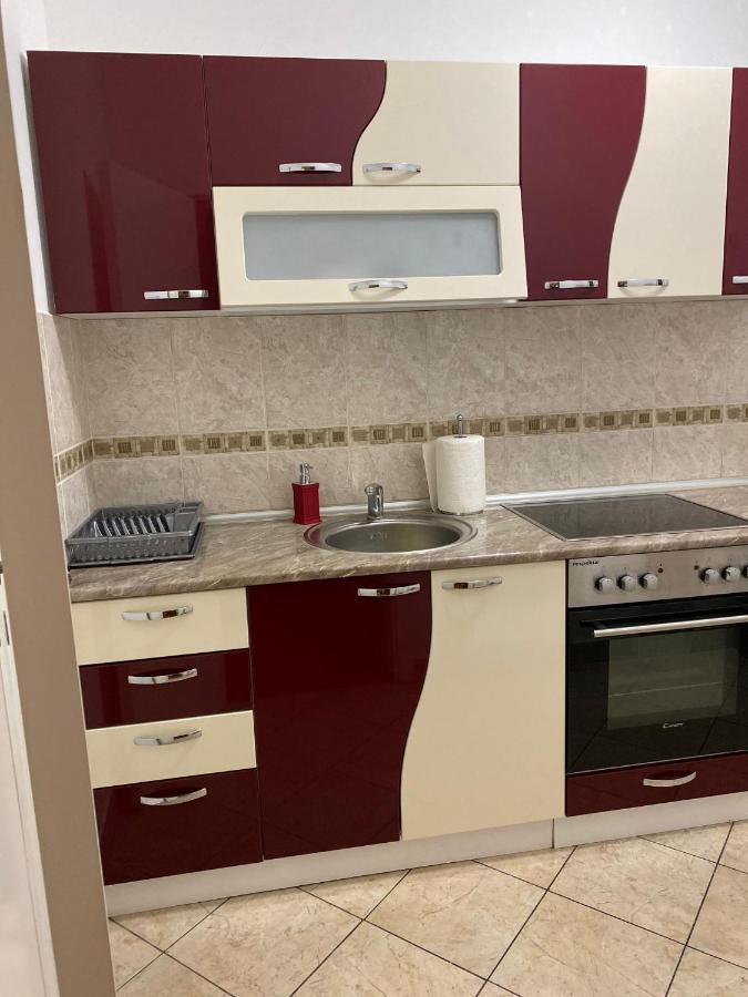 Apartman Ns Dan Centar نوفي ساد المظهر الخارجي الصورة